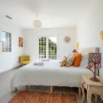 Panorama אוליבה